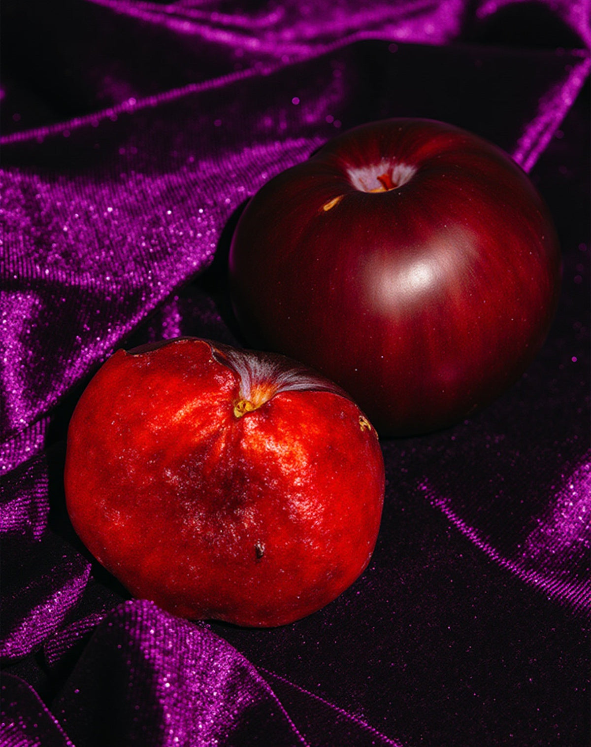 sugar plum & velvet dream™ fragrance oil