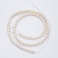 4.5mm Off White Button Round Freshwater Pearl Strand Finding | WA-04263