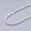 4.5mm White Button Trochid Freshwater Pearl Strand Finding | WA-04421