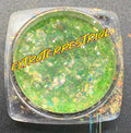 EXTRATERRESTRIAL “Galactal Goddess” Gel Flakes