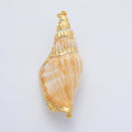 67mm Shell Pearl Sea Conch Shell Charm | AF1405