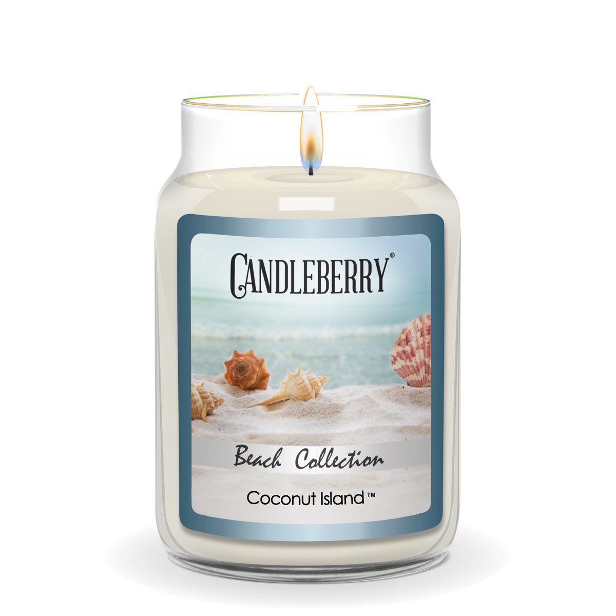 Beach Collection - Coconut Island™, Large Jar Candle (Collective)