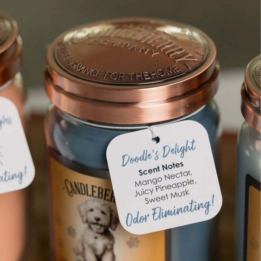 Doodle's Delight™ - Large Jar Candle (Collective)
