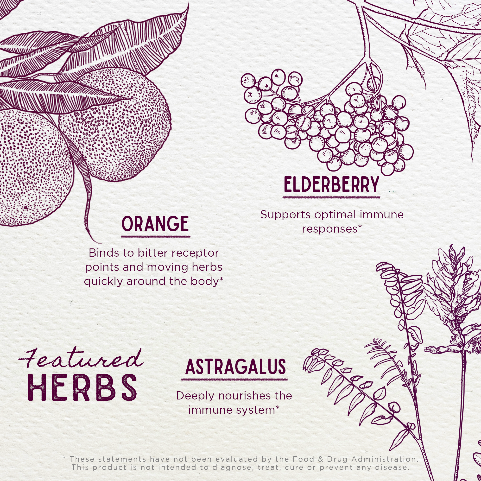 Elderberry Syrup, Everyday Immunity for Kids