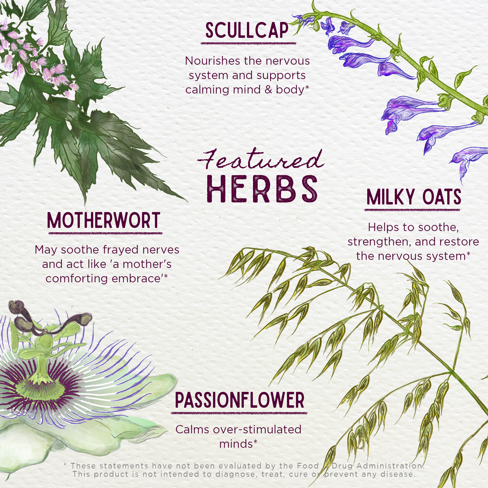 Emotional Ally, A Big Herbal Hug