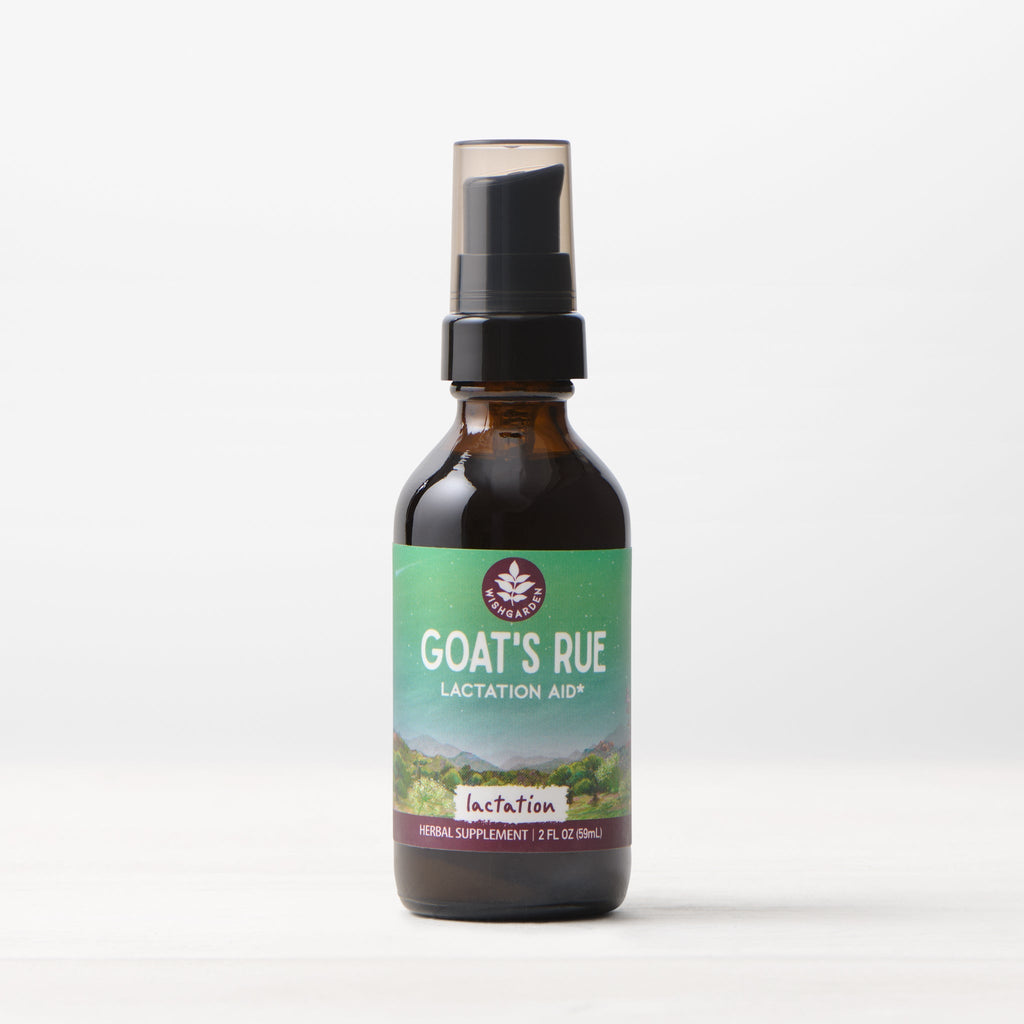 Goat's Rue, Lactation Aid