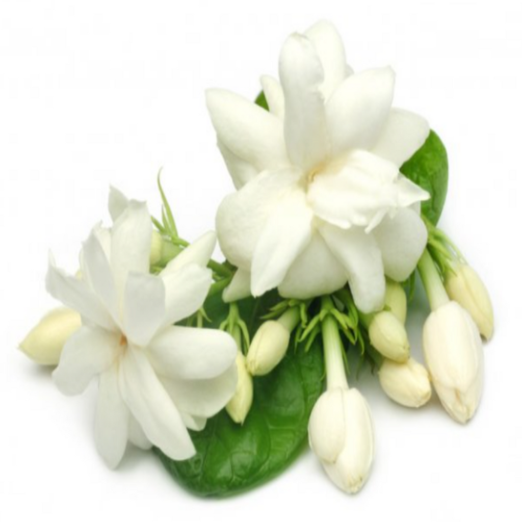 ORGANIC DEODORANT- JASMINE FRAGRANCE - FOR WOMEN