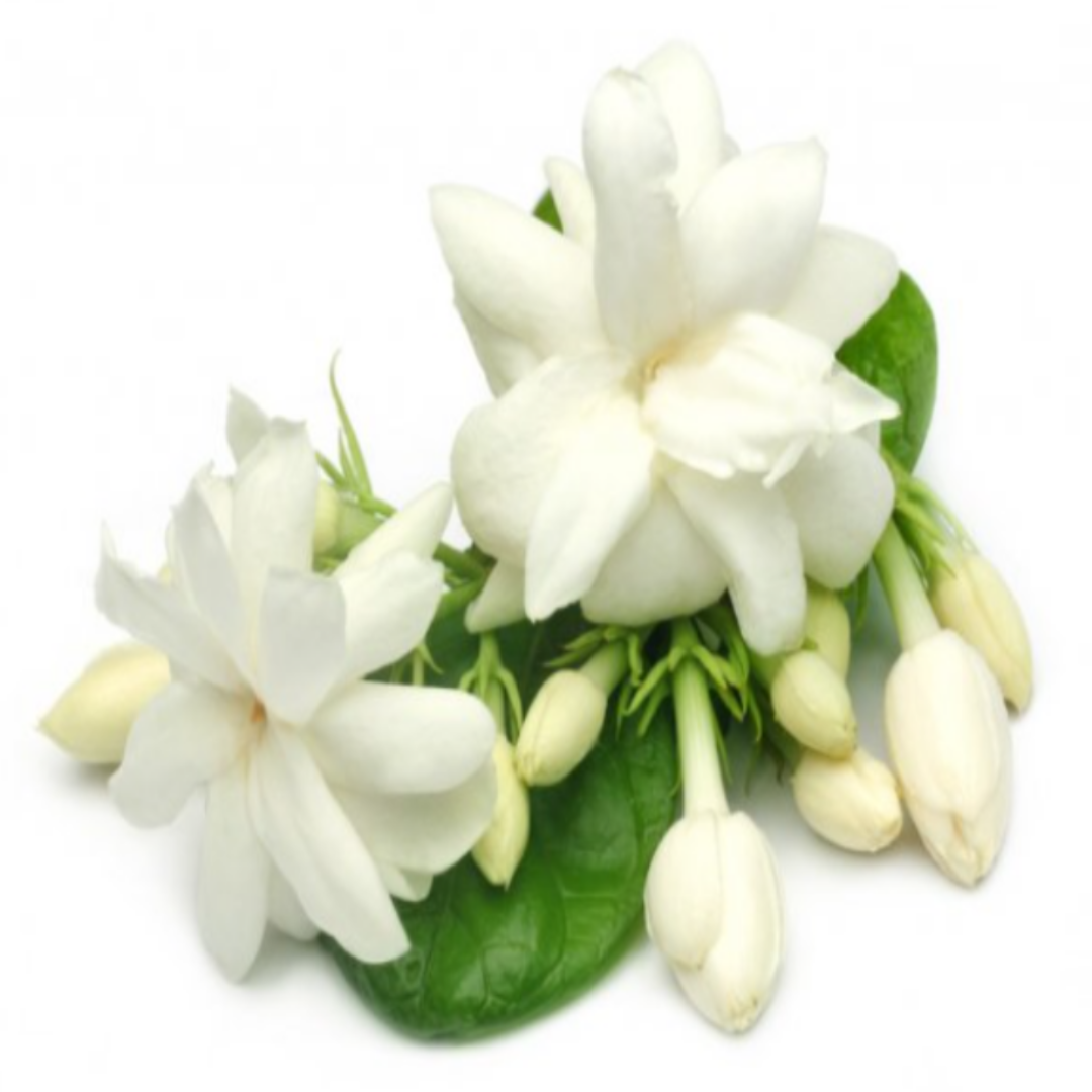 ORGANIC DEODORANT- JASMINE FRAGRANCE - FOR WOMEN