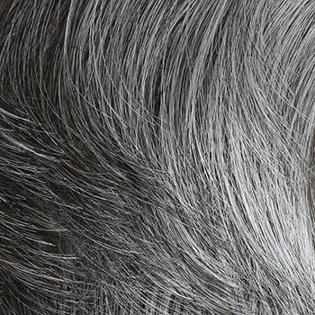 HIM Collection Dignified Men's Wig