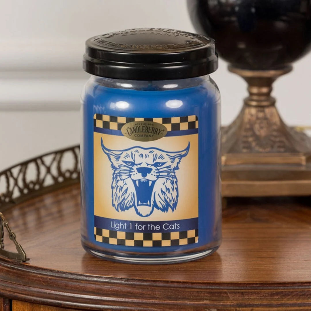Light One For The Cats™, Large Jar Candle (Collective)