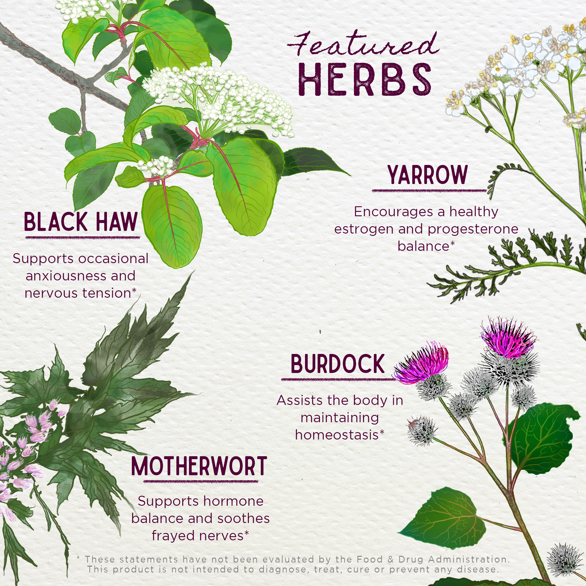 ReBalance, After Birth Hormonal
