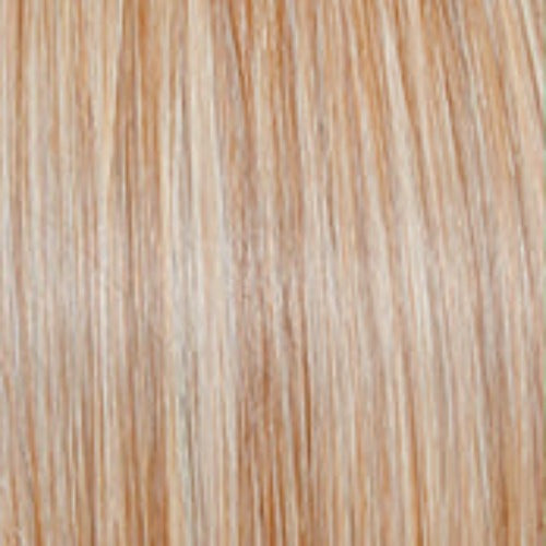 Raquel Welch Stroke of Genius Wig