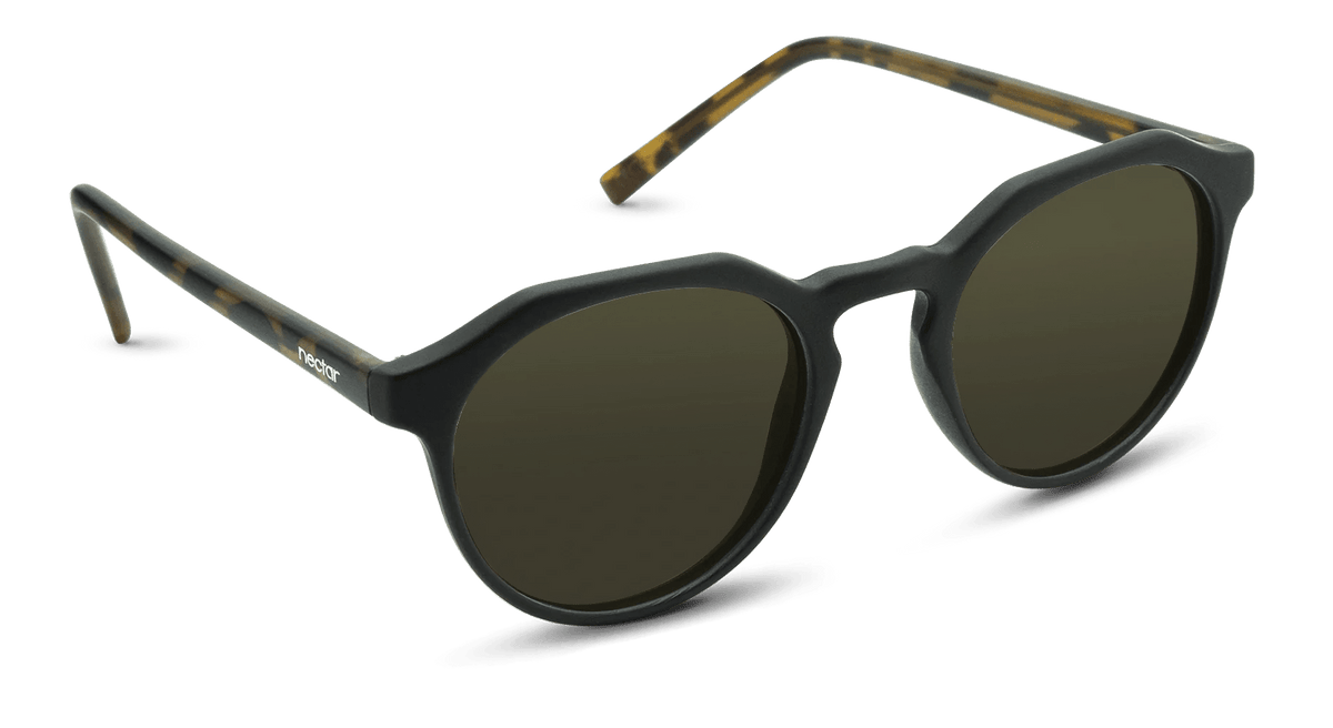 Wynwood Sunglasses