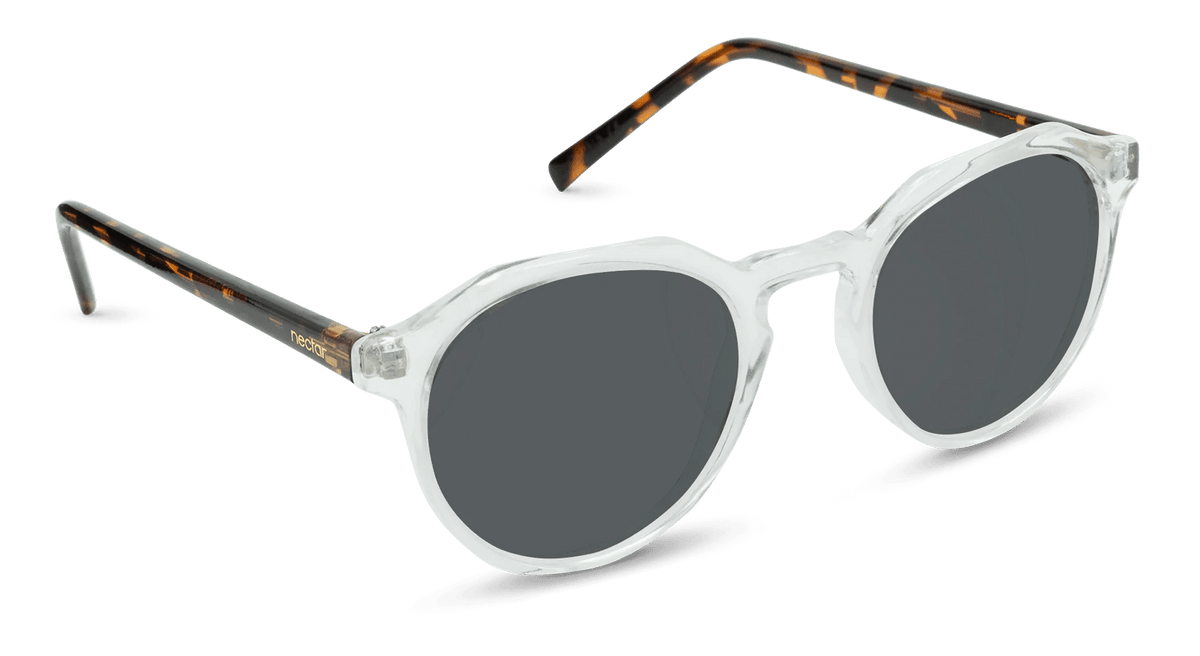 Wynwood Sunglasses