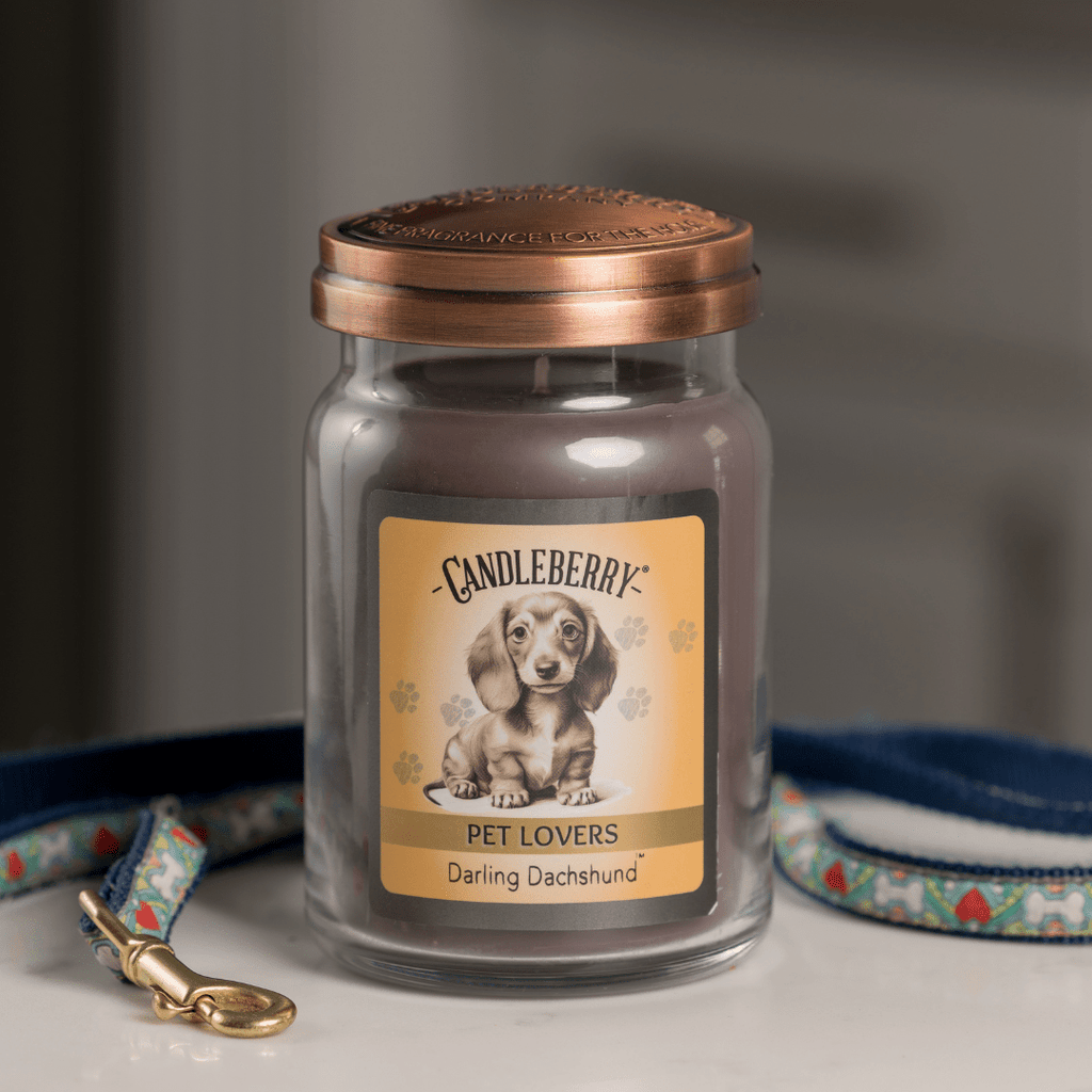 Darling Dachshund™ - Large Jar Candle (Collective)