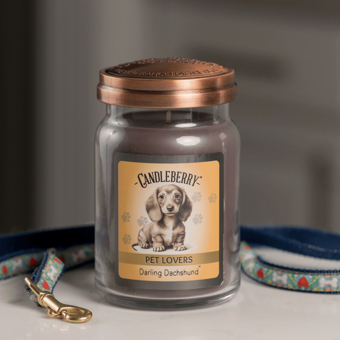 Darling Dachshund™ - Large Jar Candle (Collective)