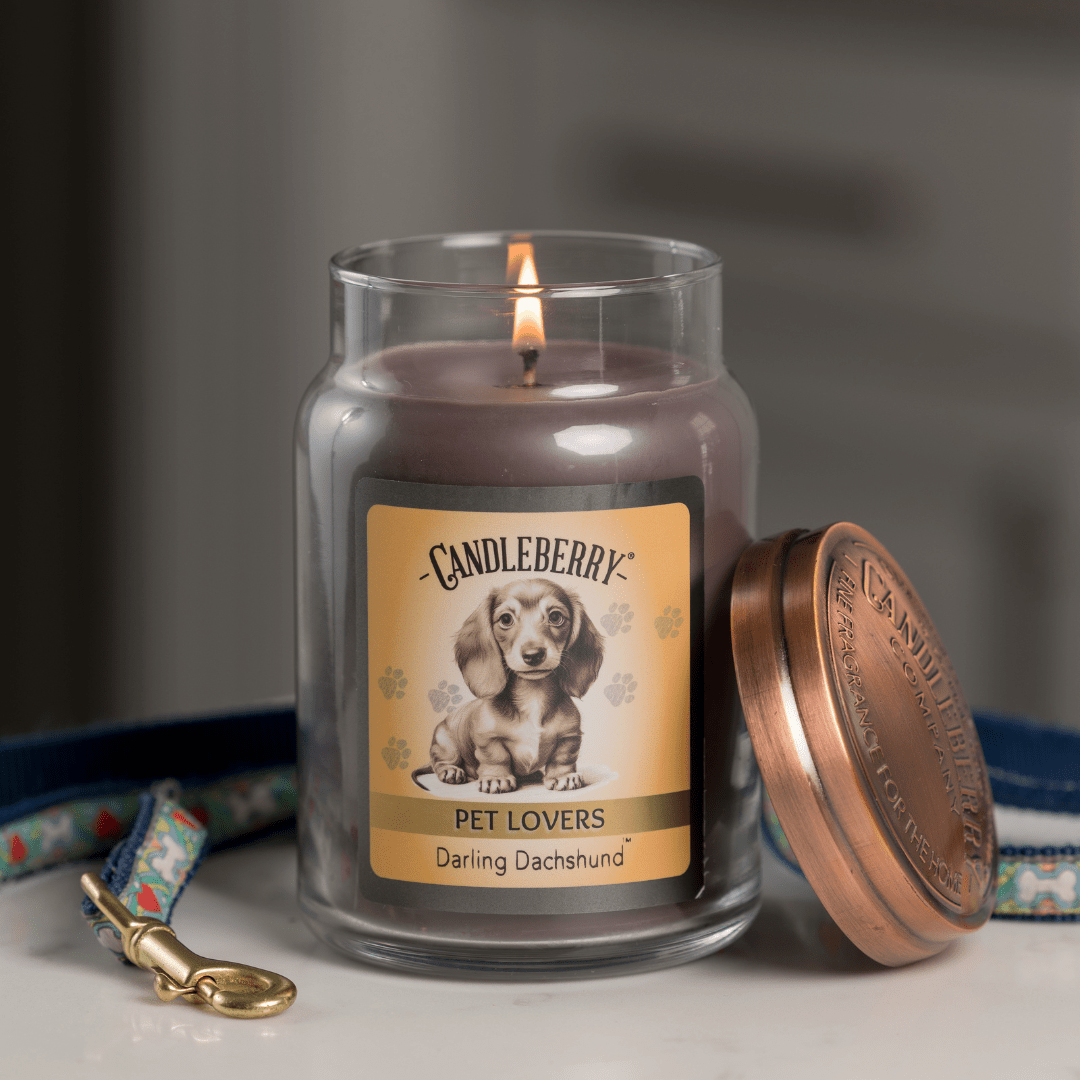 Darling Dachshund™ - Large Jar Candle (Collective)