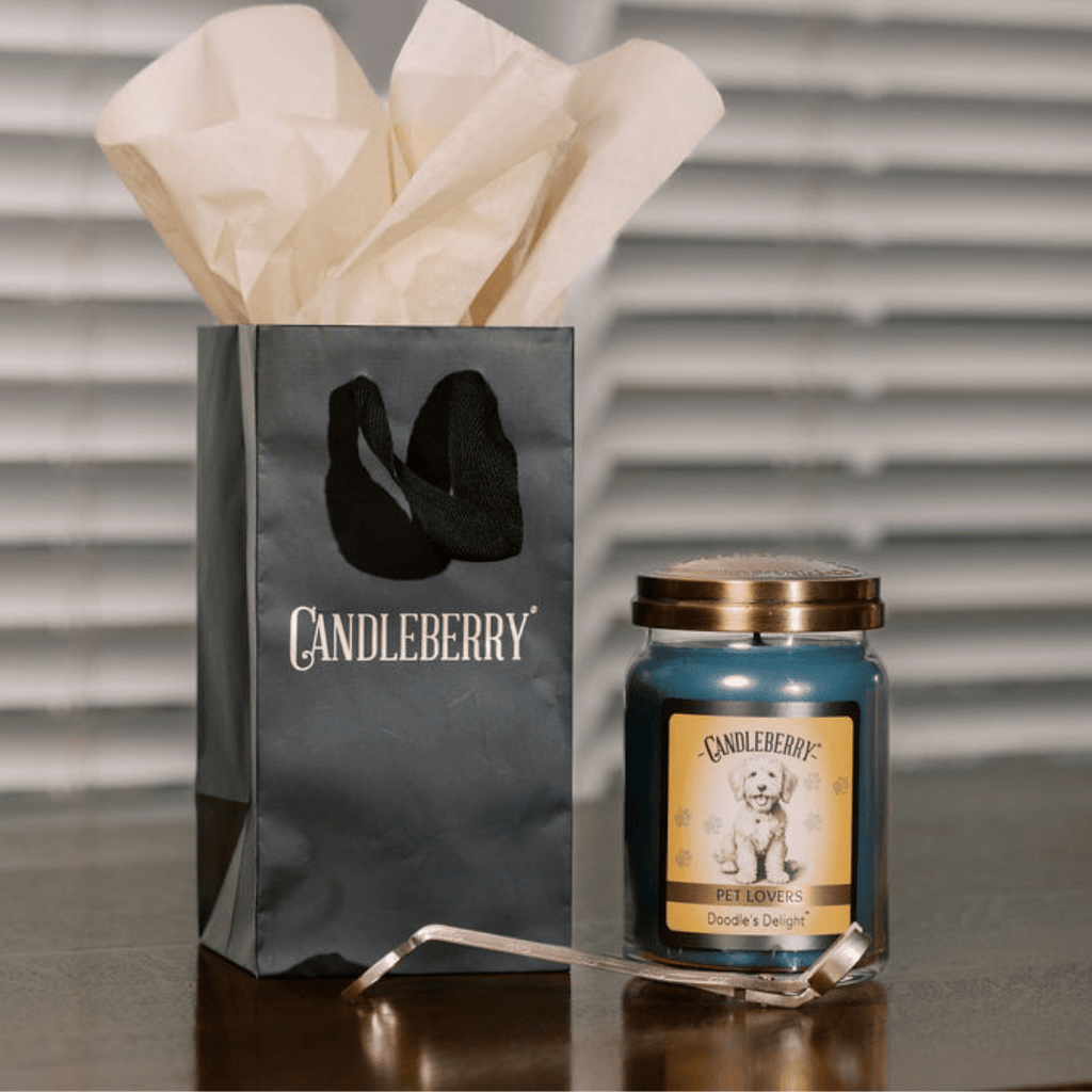 Doodle's Delight™ - Large Jar Candle (Collective)