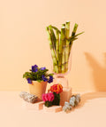 buddha bamboo & violet sage™ fragrance oil