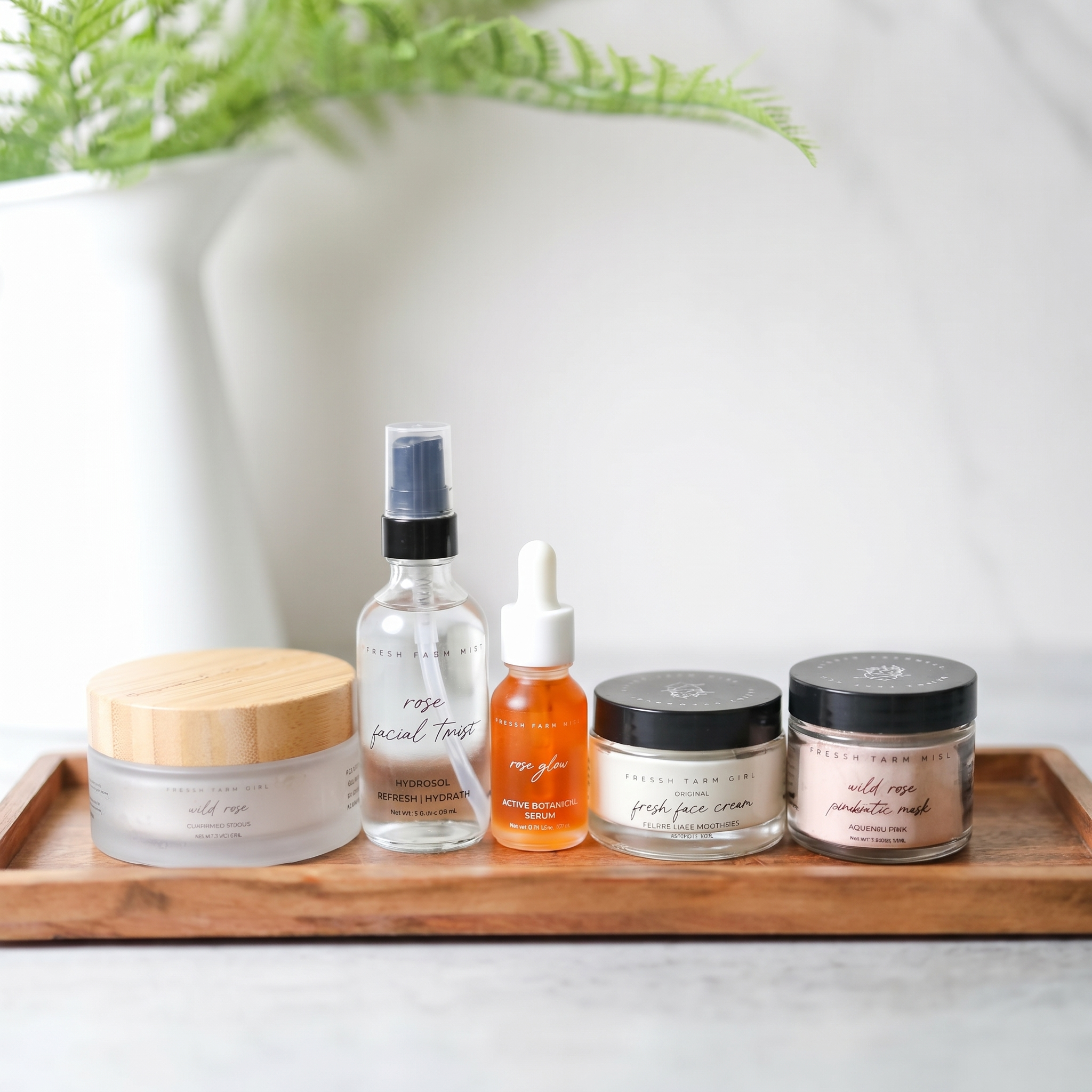 Starter Radiant Clean Beauty Face Kit