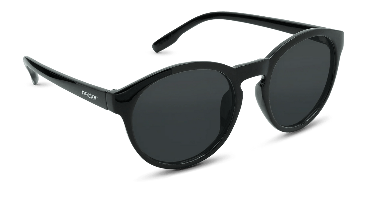 Penn Sunglasses