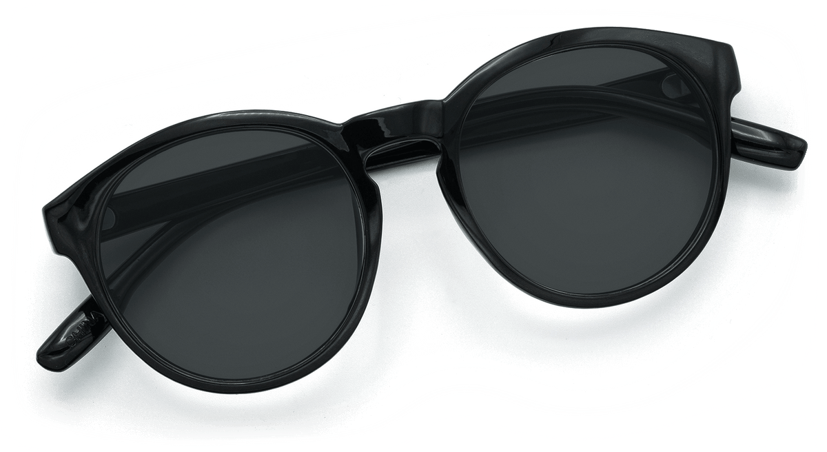 Penn Sunglasses