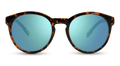 Penn Sunglasses