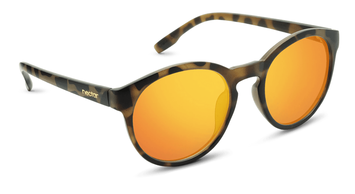Penn Sunglasses