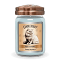 Pretty Purrfect™ - Large Jar Candle (Collective)