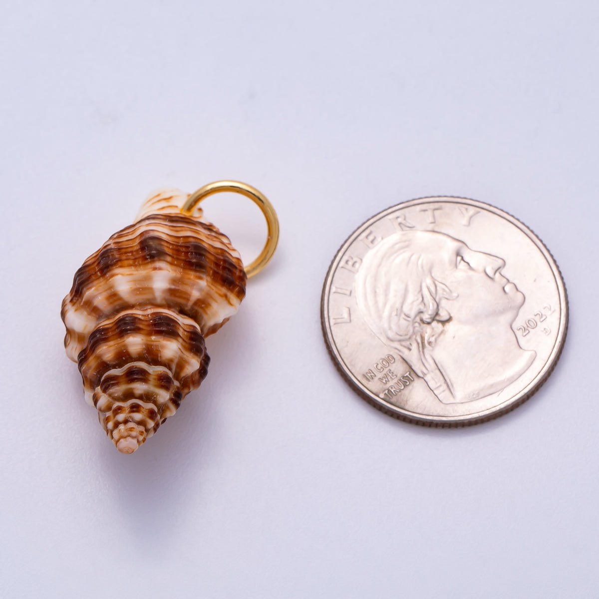 SUMMER 18K Gold Filled 33mm Natural Brown Striped Conch Shell Spiral Charm | Charms-00557