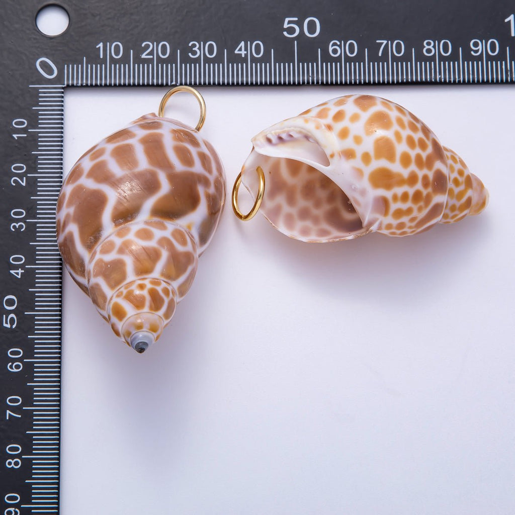 SUMMER 18K Gold Filled 52mm Natural Brown Spotted Conch Shell Pendant | Charms-00559