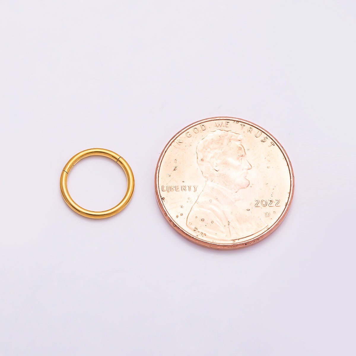 Titanium 10mm Minimalist Round Single Septum Cartilage Piercing Clicker | BJ-00138