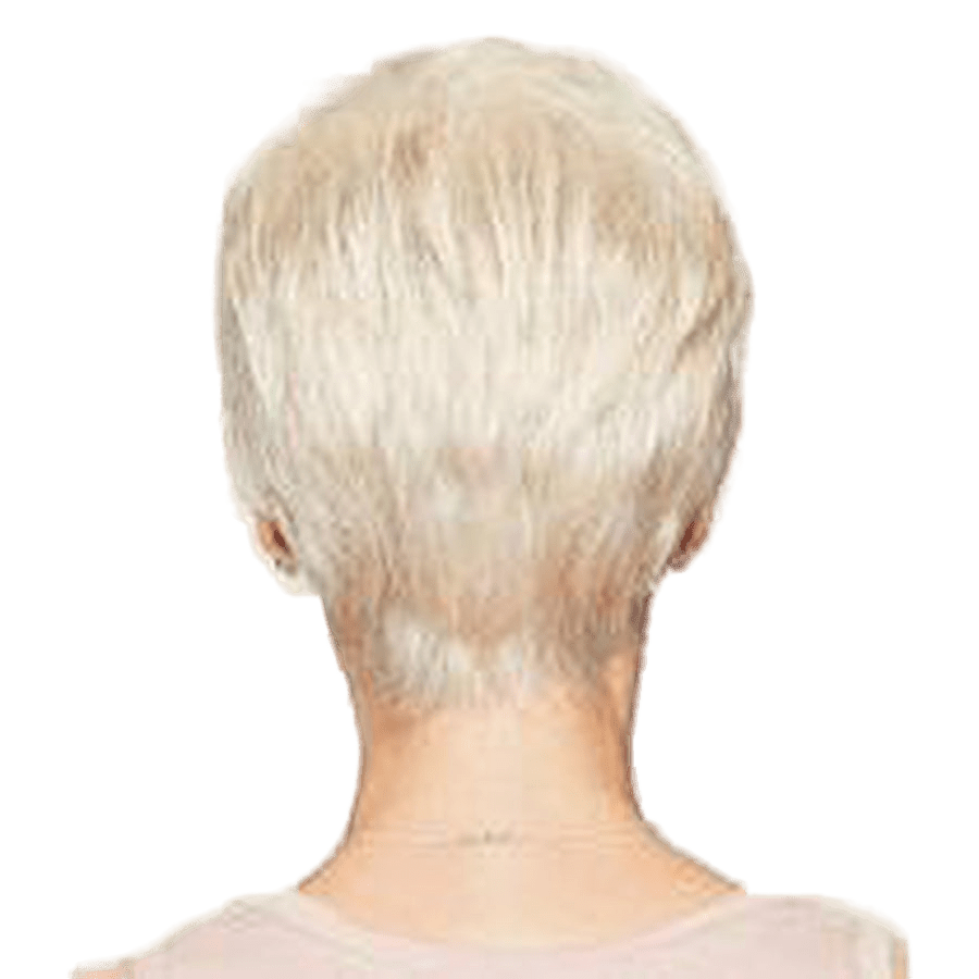 Raquel Welch Winner Wig Hairpiece - Petite & Large