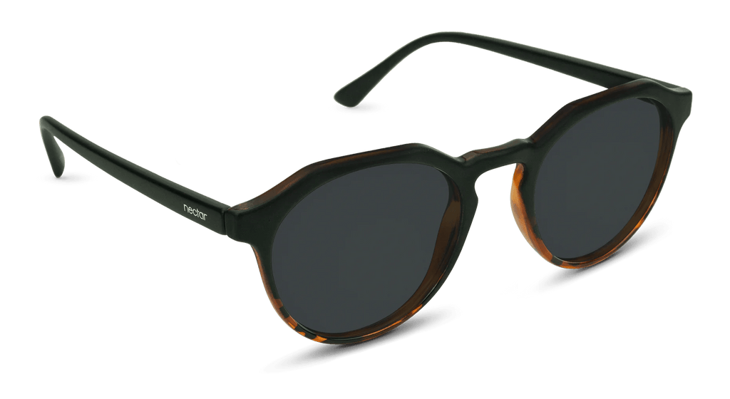 Wynwood Sunglasses