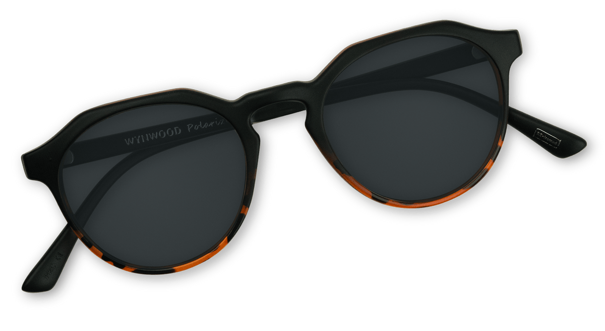 Wynwood Sunglasses
